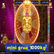 mini grua 1000kg